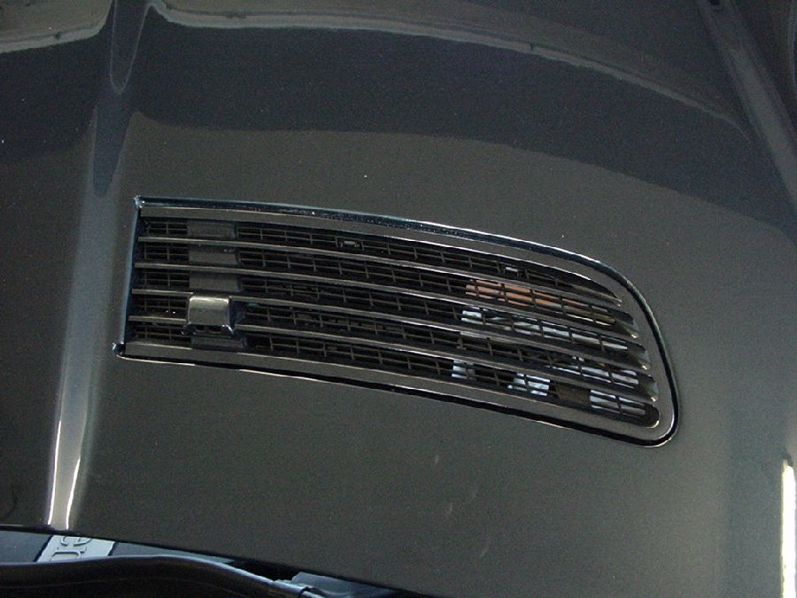 DSC02895.JPG